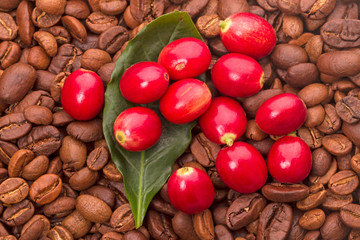 Red berries and roasted coffee beans