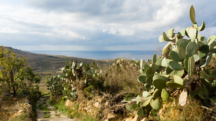 Countryside view Gozo