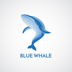 Blue whale detailed logo sign emblem isolated vector illustratio