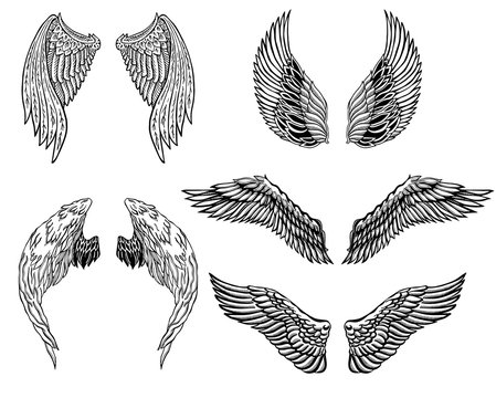 Wings tattoo set