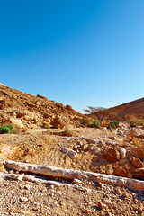 Negev Desert