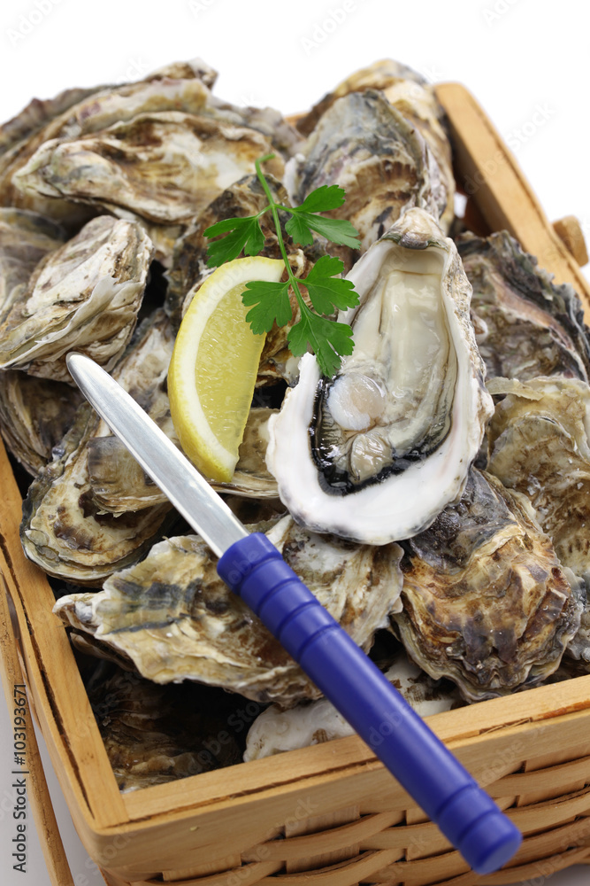 Wall mural fresh oysters in wooden basket