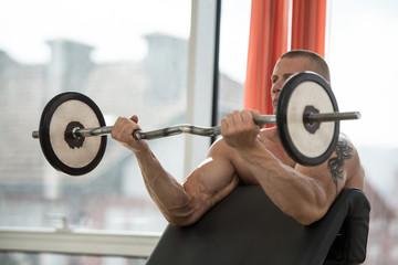 Bodybuilder Performing Biceps Curls With A Barbell