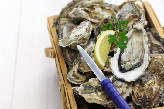 fresh oysters in wooden basket