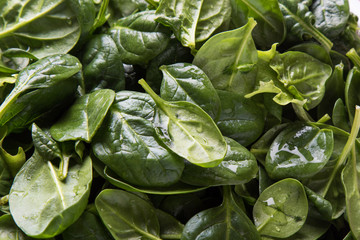 fresh spinach close-up