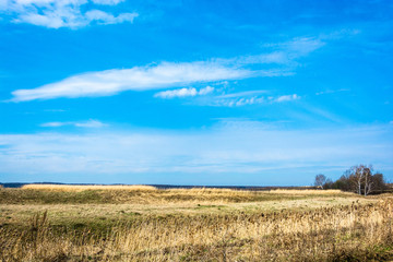 Obraz premium Beautiful spring landscape with yellow grass.