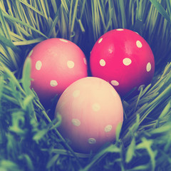 Colorful easter eggs on green grass