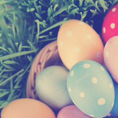 Easter eggs in basket on meadow