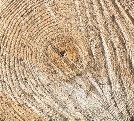 Naklejka premium 木のテクスチャ