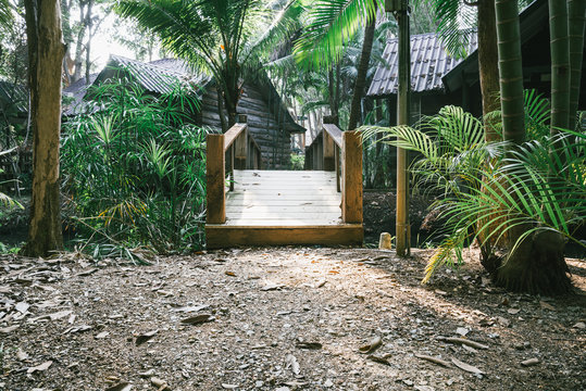 wooden bridge in the garden, Toned Image