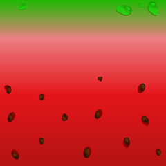 Watercolor background. The texture of the watermelon.