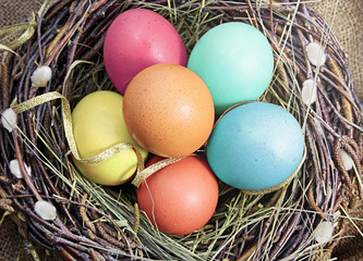 Naklejka na ściany i meble Easter eggs in nest.