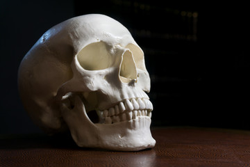 Human skull on dark background