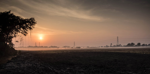 evening rice field at countryside background