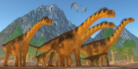 Camarasaurus Dinosaurs - A Camarasaurus sauropod dinosaur herd keep watch on their offspring as two Rhamphorhynchus reptiles fly over. © Catmando