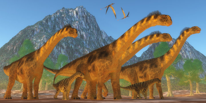 Camarasaurus Dinosaurs - A Camarasaurus sauropod dinosaur herd keep watch on their offspring as two Rhamphorhynchus reptiles fly over.