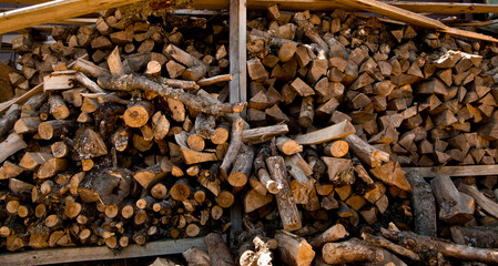 Firewood