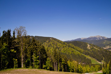 mountain landscape