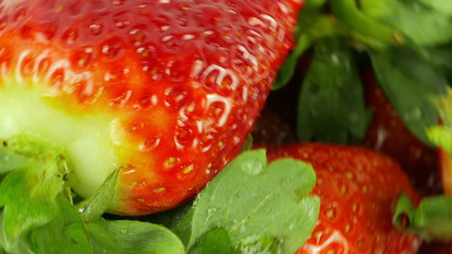 A macro top-down view of a set of fresh strawberries with water droplets revolving around a white background.
