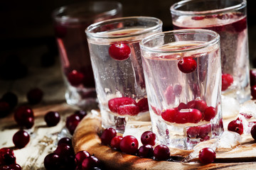 Cold cranberry vodka with fresh berries in glasses, selective fo
