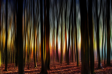 Brandenburger Landschaft