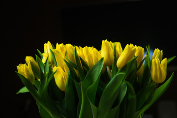 Bouquet of yellow tulips on dark background