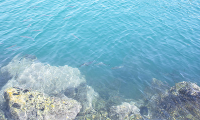 Obraz premium Sea and rocks under water