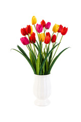 Red and Yellow and Pink tulips in pot isolated on white backgrou