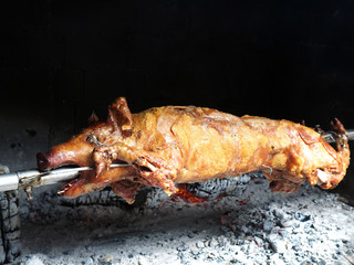 grilled pig