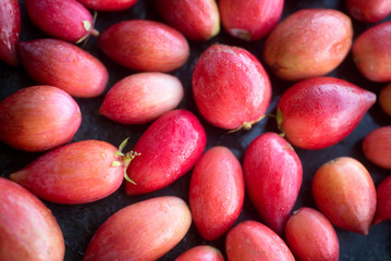 South African carissa carandas fruits