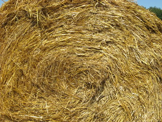 Straw closeup for backgrounds