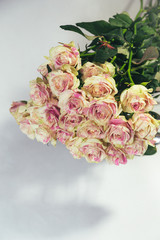 Bouquet of multi-colored roses on white background