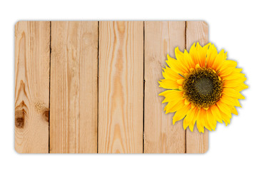 Sunflower on wood texture background.