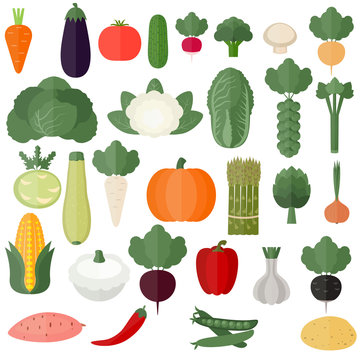 Collection of vector illustrations vegetables.