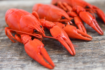 boiled crayfish and beer mugs on a wooden background