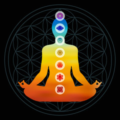 Chakra icons on colorful body silhouette
