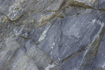 Marble  texture