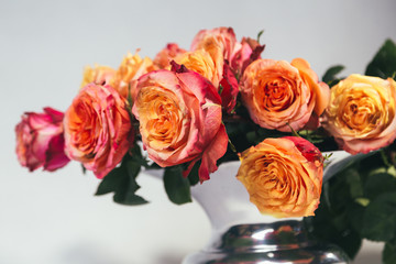 Orange roses in vase on a gray background