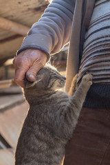Man with cat in village