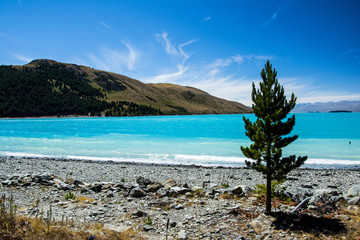 Lake Tekapo on the South Island, New Zealand