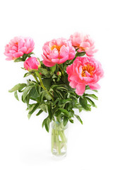 peonies in a vase on a white backgroundpeonies on a white background