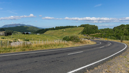 Kurvige Straße durch grüne Hügel
