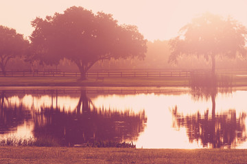 Silhouette of a lone tree and bench by lake pond water with reflection early at sunrise or sunset with a retro vintage filter to feel inspirational rural peaceful meditative relaxing