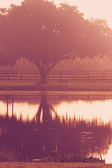 Silhouette of a lone tree and bench by lake pond water with reflection early at sunrise or sunset with a retro vintage filter to feel inspirational rural peaceful meditative relaxing