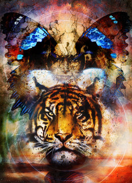 tiger and butterfly wings with woman face. Painting collage and desert crackle.
