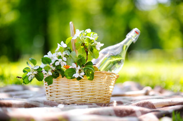 Picnic basket close up
