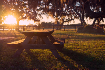 Wooden picnic table in field with trees at sunset sunrise golden hour looking peaceful serene meditative warm relaxing restful - 103207053