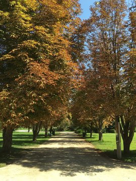 Park In Santiago Chile