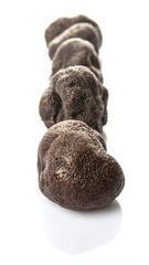 Black truffle mushroom over white background