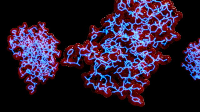 3d Struktur eines Proteins (Insulin)